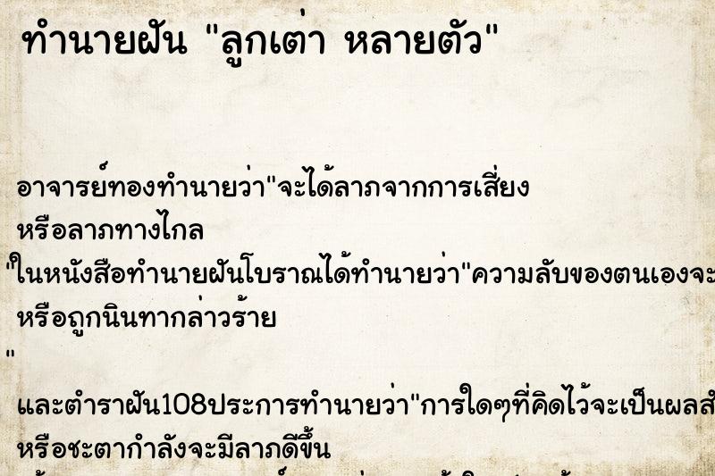 ทำนายฝัน ลูกเต่า หลายตัว